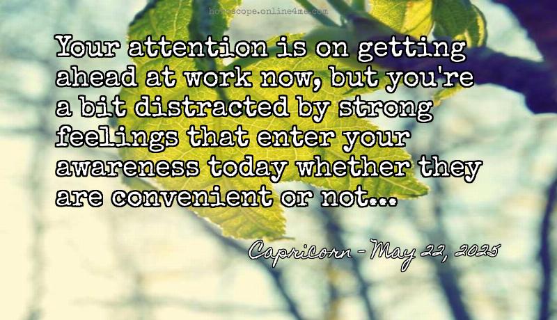 Horoscope online4me